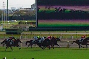 JRA16年ぶり女性騎手「菜七子フィーバー」でほくほく　騎乗すれば馬券売り上げ3割アップ