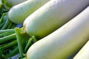 みんなが知りたい「体にいい食べ物」 「ダイコン」に世間がざわついた