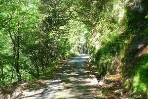 北海道の男児「置き去り」深まるナゾ　服装、理由などの説明「変化」が気になる人も