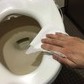 トイレ使用前に便座「除菌」で議論　「潔癖すぎ」「消毒スプレー使う」あなたは？