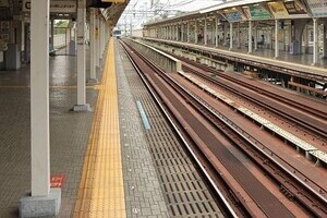 なぜ、こんなところに犬が？！　阪神武庫川駅で起きた危機一髪の救出騒動