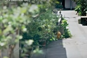 ポケモンGOで日本もこうなる？　大人気のアメリカで珍事続出