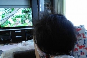 ぐずる赤ちゃんがピタリ泣き止む　ウワサの動画・番組を検証した