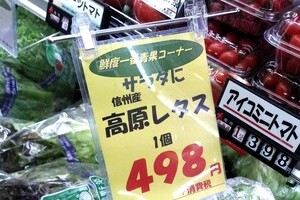 レタス1個500円！ 「肉より高い」野菜異常高値に悲鳴が