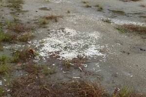 「うどんまき散らし」逮捕の瞬間　「張り込み」に至るまでの一部始終