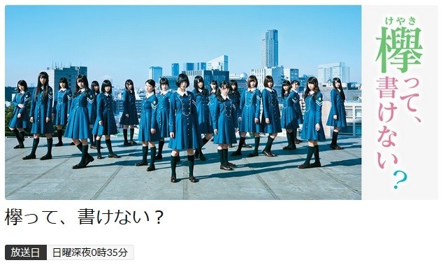 「欅って、書けない？」放送休止に憶測（画像はテレビ東京公式サイトより）