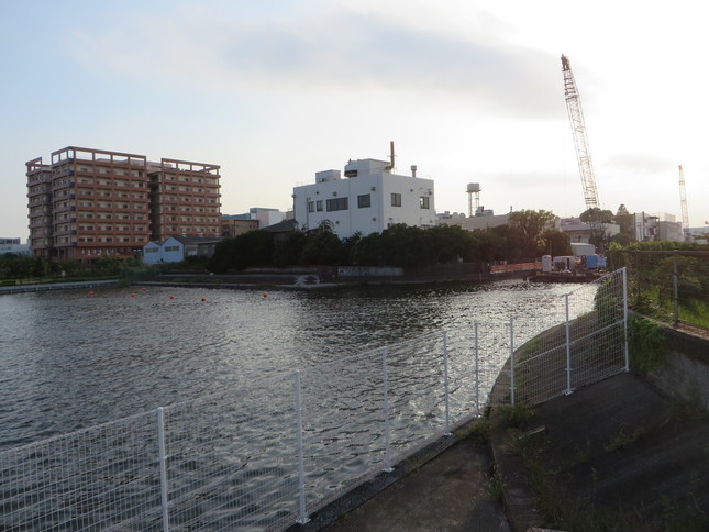 右側が呑川（2016年9月2日、Jタウンネット編集部撮影）