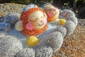 親子一緒でお風呂の「適切年齢」　松本明子、32歳まで父親と入浴告白