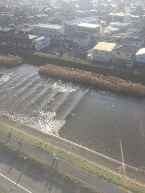 河川敷には人の姿も見える（「XED（ゼッド）」さん提供）