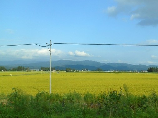 地方移住者への支援拡充が進むが…（画像はイメージ）