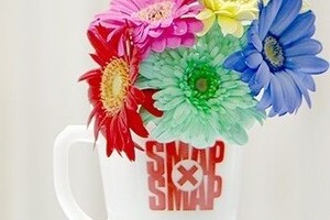 スマスマ最終回は「まるで追悼番組」  「葬式かよ」とヒンシュクかった演出