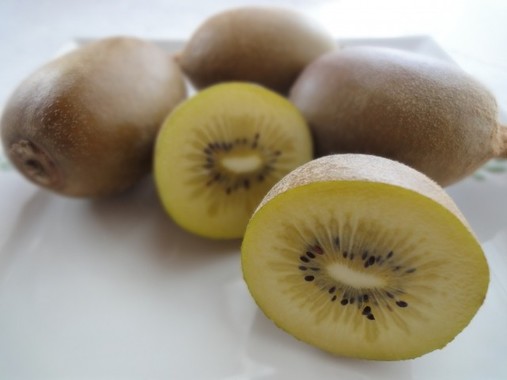 風邪対策に管理栄養士が勧めるのがキウイ
