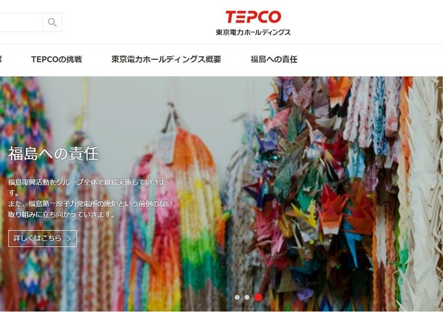 自立までの道のりは長い（東電HDのホームページのスクリーンショット）