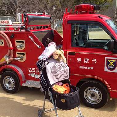 昨年のペット同行避難のイベント（「靱公園くらしとみどりネットワーク」提供）