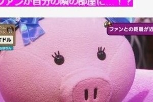 NHKがAKB＆秋元氏を「ブタ」で描写　「ケンカ売った！」と大盛り上がり
