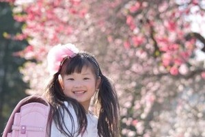 PTAをなくした小学校16年目の真実　「いいことづくめ」の美談のはずが...