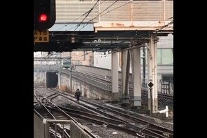 動画が捉えた痴漢容疑男　「線路を逃走」で大迷惑