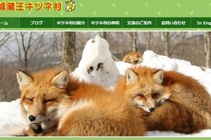 「けもフレ」ファンの仕業？ 「狐に人形を誤飲させた」疑惑で大騒ぎ