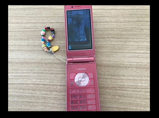 これが籠池夫人の携帯電話なのか（画像は「アキエリークス」より）