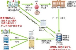 昭和大など「大便バンク」設立　100万人分を集め「最新がん治療」研究