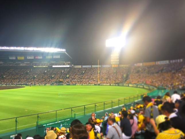 阪神タイガースが3位につけている
