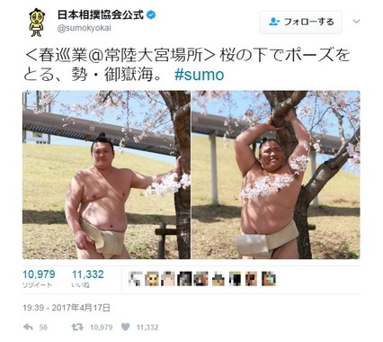桜の木に寄り添いポーズを決める勢関と御嶽海関（画像使用許諾：日本相撲協会）