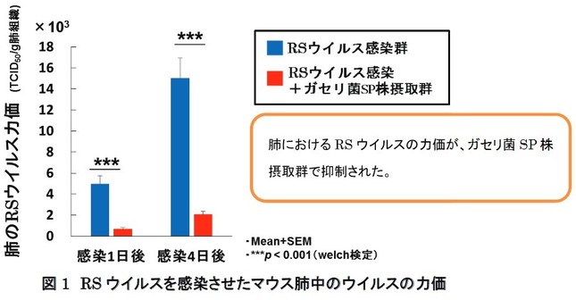 ガセリ菌sp株にrsウイルス感染の防御効果 J Cast ニュース