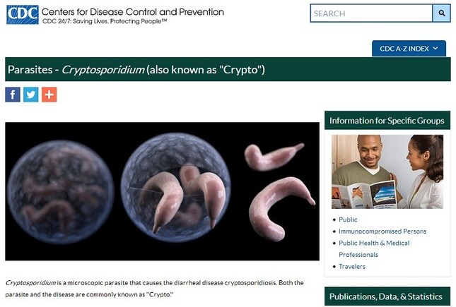 CDCのウェブサイトではクリプトスポリジウムについて詳しく説明している