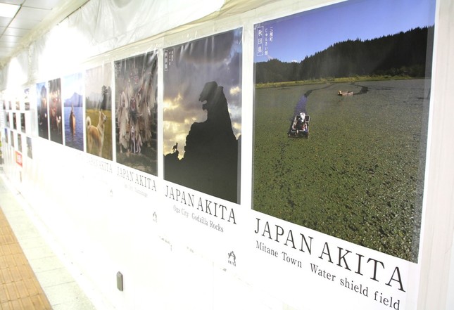 十数枚のポスターがずらりと並ぶ