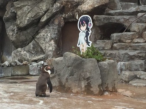 じーっと見つめるグレープくん（東武動物公園提供）