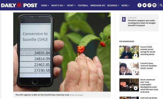 麻酔に使える唐辛子の味は…（画像はデイリー・ポスト誌当該記事ページ）

