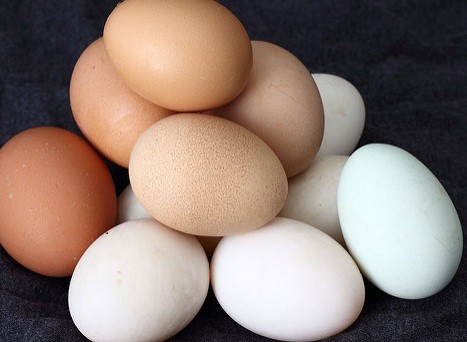 卵は発育不全の改善に効果が示された
