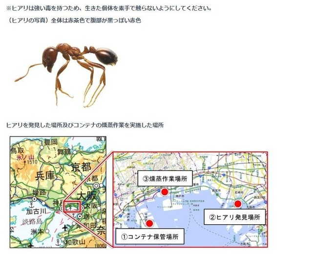 強毒アリを確認したら要注意（画像は環境省ウェブサイト上の報道発表より）
