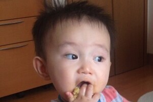 食べ物をよくかむ子は頭が良くなる！ 東京医科歯科大がマウスの実験で実証