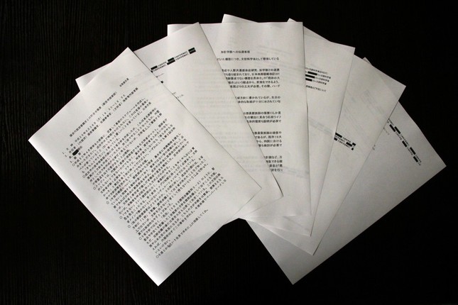 民進党が公式サイトで公表していた文書