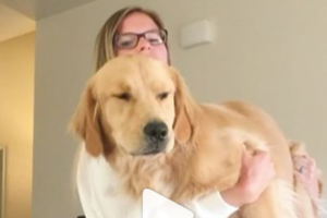 愛犬や愛猫を抱えながらする筋トレ　双方がハッピーになる究極の健康法