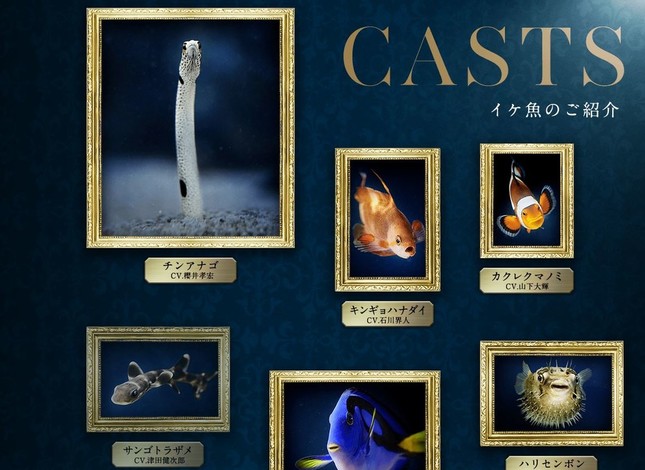 画像はアクアパーク品川HPより