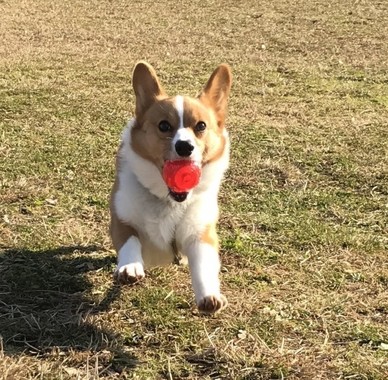 公園で遊ぶ時は特に注意を