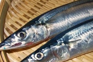 青魚を食べるとてんかん発作の予防に　魚油「DHA」の健康効果がスゴすぎ！