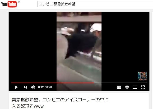 アイスケースの中に入る男(写真はユーチューブより)