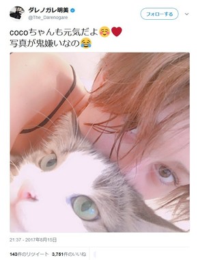 猫はそっぽを向いているが・・・（画像は公式ツイッターのスクリーンショット）