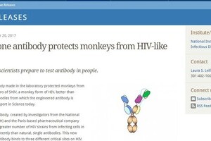 エイズ、ついに撲滅か　画期的な抗体の開発に成功