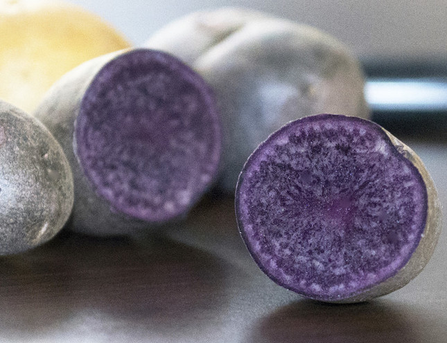 紫ジャガイモの断面（Image:Patrick Mansell　米ペンシルベニア州立大学のプレスリリースより）