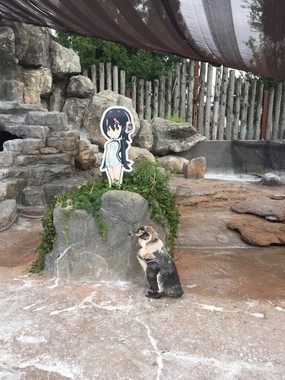 パネルの方へ寄り添っているようにも見える？（同）