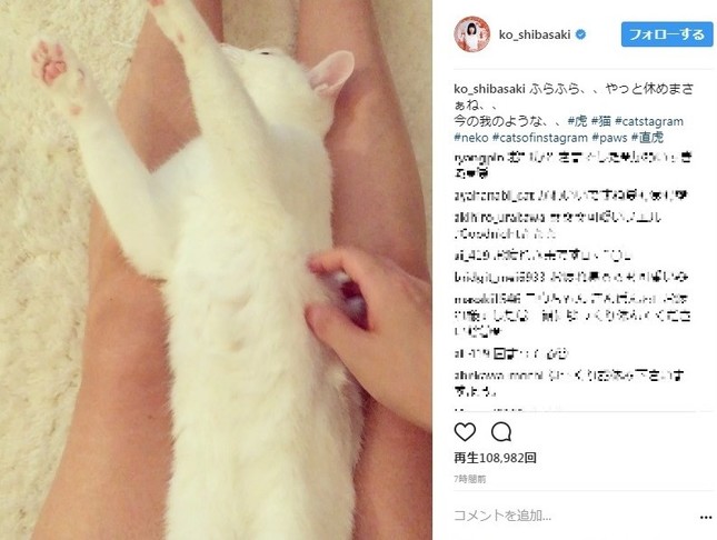 柴咲さんが公開した猫動画（画像は公式インスタグラムのスクリーンショット）