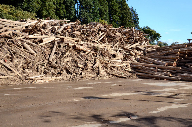 うず高く積まれた流木だが、処理されたのはごく一部にすぎない
