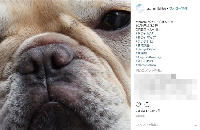 草なぎ剛さんの愛犬「くるみちゃん」（写真は「新しい地図」インスタグラムより）