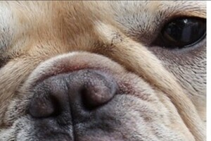 元SMAP「新しい地図」に「謎」の写真！？　9枚合わせて出てきた「地図」は...