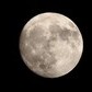 8年ぶり10月に「中秋の名月」　標高270メートル、ヒルズの野外展望台で「観月会」