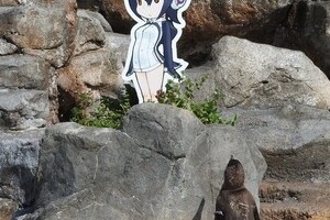 「恋するペンギン」グレープ君、死の直前まで...　担当者が明かす「最後の瞬間」